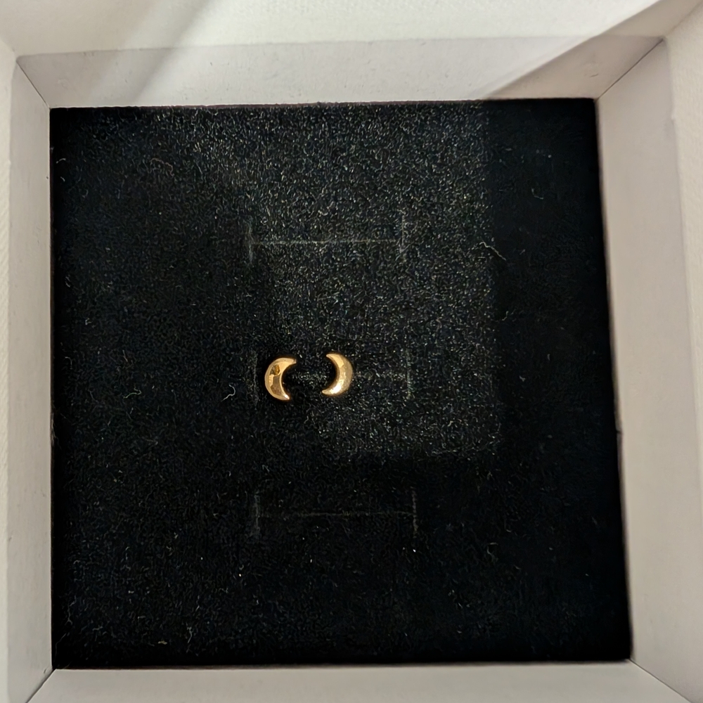 Elegant Gold Crescent Earrings